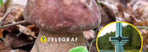 Грибные места Волыни