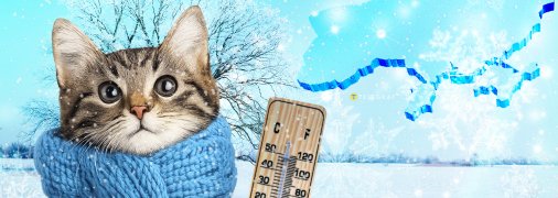 Погода в Україні на початку січня