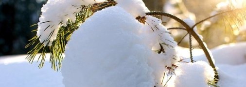 На Украину обрушится новая порция холода: синоптик назвала даты