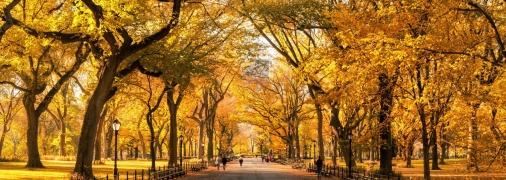 Бабине літо радує теплом