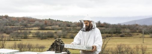 Осінь – важливий час для бджіл, але біля будинку їм не місце