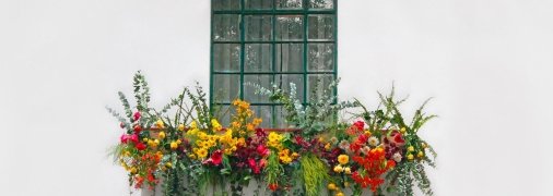 Украсить свой балкон этой зимой можно этими цветами