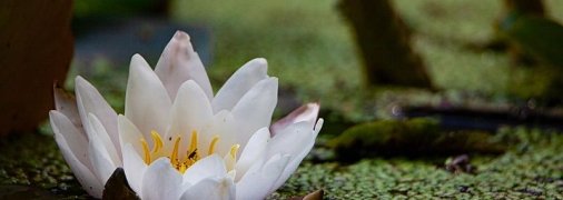 23 июля - праздник, что категорически запрещено делать, главные приметы