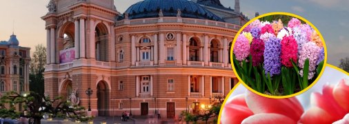 Де дешевше в Одесі купити квіти до 8 березня