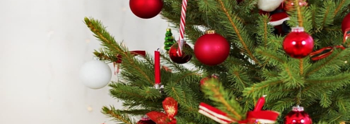 Елки желательно сдавать на утилизацию