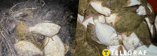 На Одещині чоловік наловив риби на 18 мільйонів: що йому загрожує (відео)