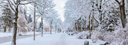 Какой сегодня праздник 8 февраля