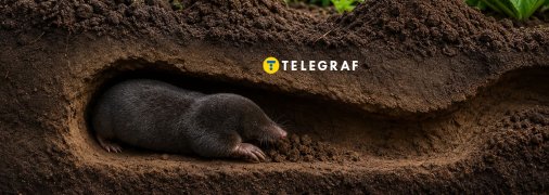 Крот может серьезно навредить грядкам