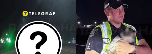 Поліція заблюрила морду кота