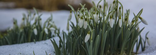 Какой сегодня праздник 17 марта 2025 года