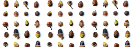 Поделки из желудей для детей: 10 оригинальных идей с фото