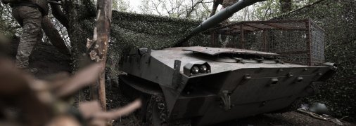 "Гвоздика"