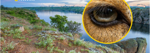 Тварини почуваються на острові дуже комфортно