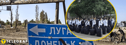 Північні корейці працюють на низькокваліфікованих роботах