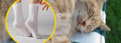 У спекотну погоду може бути складно висипатися