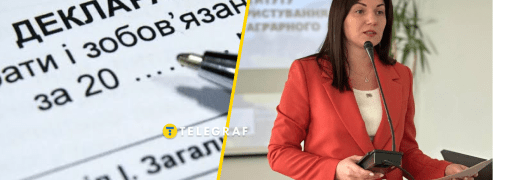 Лутковська пояснювала мільйонні надходження позиками та грошима батька