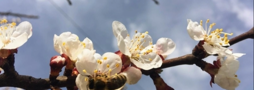 В ближайшие дни в Украине ощутимо потеплеет