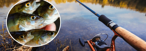 Рибалка піймав незвичайну рибу