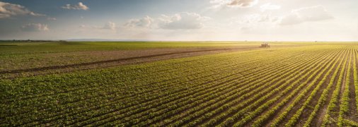 Эксперты считают, что весенняя посевная в Украине состоится