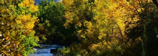 Осінь у Карпатах