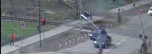 СК начал проверку дерева: в сети возмущены ЧП с детьми в России (видео)