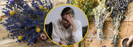 Засушені квіти вдома принесуть біду