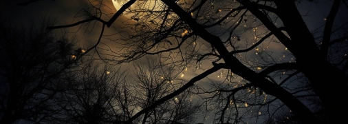 Місяць завжди бентежив уяву наших предків