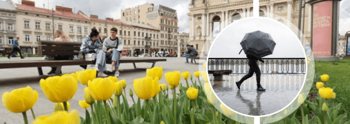 Заморозків у Львові не передбачається, тільки дощі