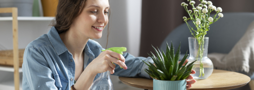 Без належного поливу вазони не виживуть