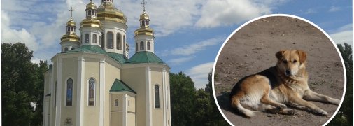 Собор святих апостолів Петра і Павла