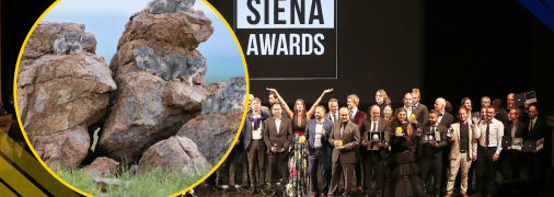 Иллюстративное фото