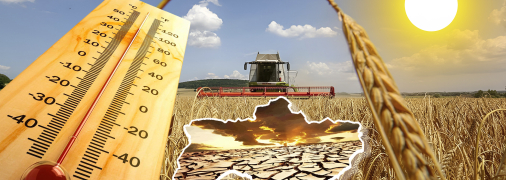 Торік у деяких регіонах фіксували температури до +41 °C