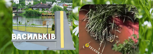 Колаж "Телеграфу"