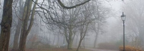 Дождь с мокрым снегом и туманы: какой будет погода в Украине до конца недели