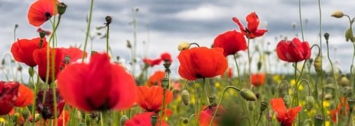 16 июля - праздник, что категорически запрещено делать, главные приметы