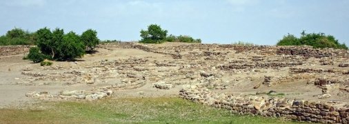 Ученые нашли в Японии самое маленькое яйцо динозавра
