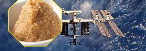Мисо приготовили на МКС