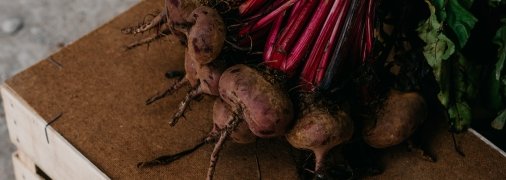 "Правила" посадки буряків на зиму