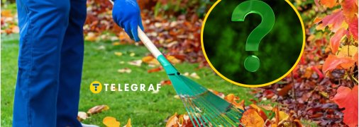 Осінній сад