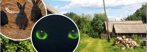 Существует ли чупакабра