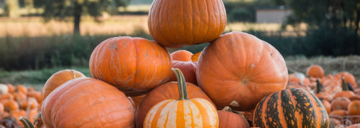 Очистити гарбуз від твердої шкірки буває непросто