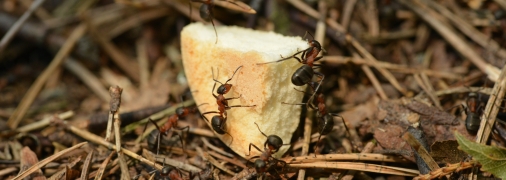 Эти лайфхаки - отличное средство