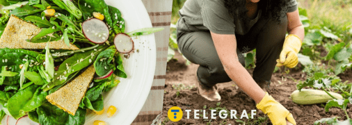 Корисний бур'ян на городі