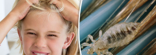 Подцепить вшей могут как дети, так и взрослые