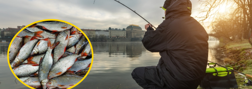 Обмеження традиційно вводять з квітня