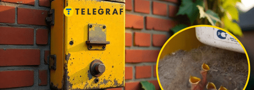 Колаж "Телеграфу"