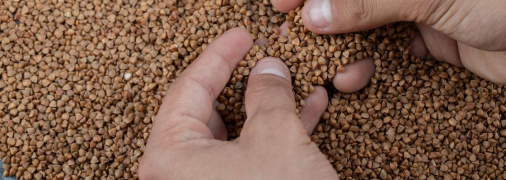 Ці поради вам знадобляться