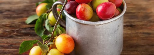 Блюда из алычи: 5 лучших рецептов