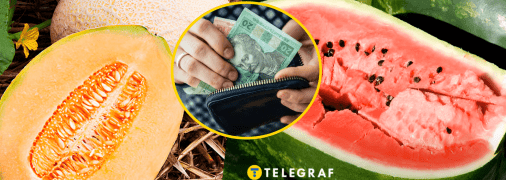 Сезон баштанних вже близько