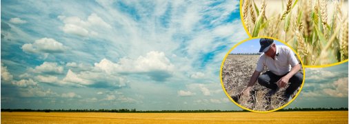 Аграрії на Херсонщині б'ють на сполох